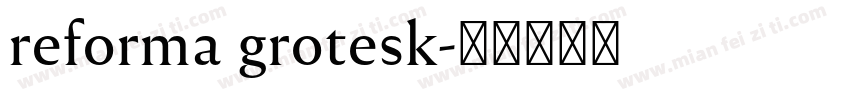 reforma grotesk字体转换